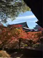 東福禅寺(東福寺)(京都府)
