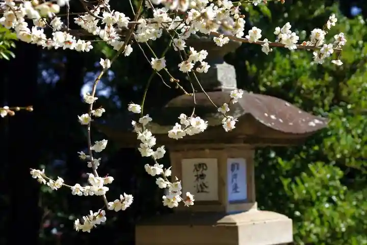 豊景神社のその他建物