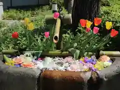 伊和志津神社の手水