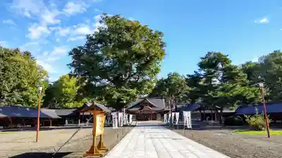 北海道護國神社の本殿・本堂