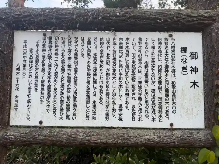 八幡宮の{uncategorized: "未分類", other: "その他", undefined: "問題あり", building: "その他建物", grave: "お墓", sacred_gate: "鳥居", guardian: "狛犬", statue: "像", buddha: "仏像", history: "歴史", nature: "自然", garden: "庭園", animal: "動物", pagoda: "塔", temizu: "手水舎", mountain_gate: "山門・神門", sanctuary: "本殿・本堂", subordinate: "末社・摂社", art: "芸術", scenery: "景色", jizo: "地蔵", ema: "絵馬", goshuin: "御朱印", omikuji: "おみくじ", items: "授与品その他", amulet: "お守り", goshuincho: "御朱印帳", eats: "食事", festival: "お祭り", votive_dance: "神楽", shichigosan: "七五三参", wedding: "結婚式", experience: "体験その他", initially: "初詣", around: "周辺", anti_infection: "感染症対策"}