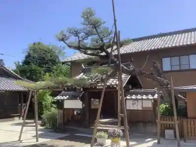 妙海寺の山門・神門