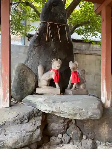 武信稲荷神社の狛犬