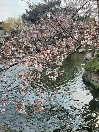 神明宮の庭園