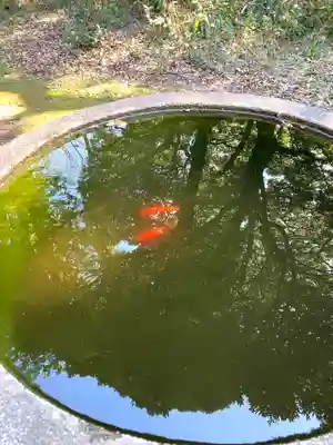 大宮大神(茨城県)