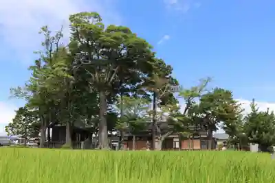 西宮大神社(滋賀県)