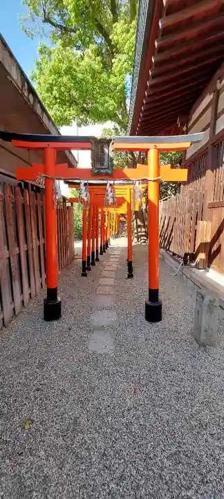 堀越神社(大阪府)