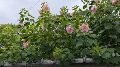 如願寺(大阪府)