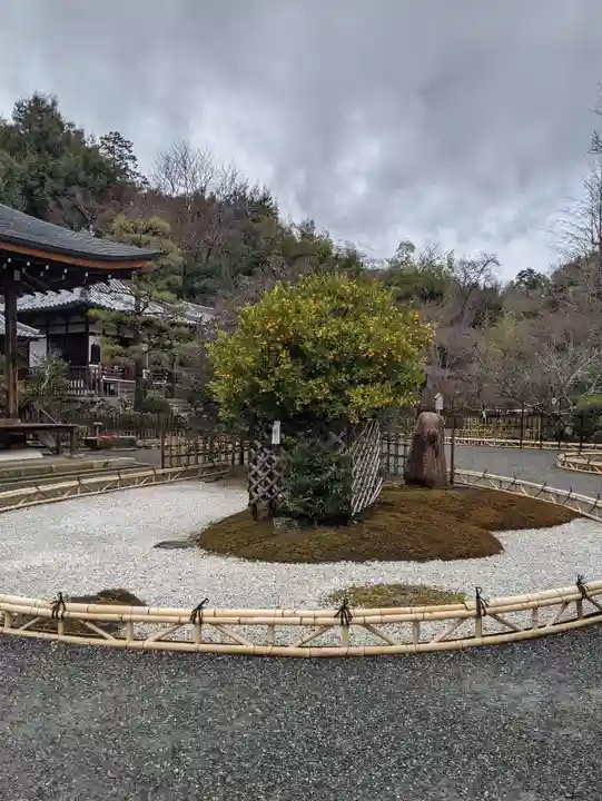 二尊院(京都府)