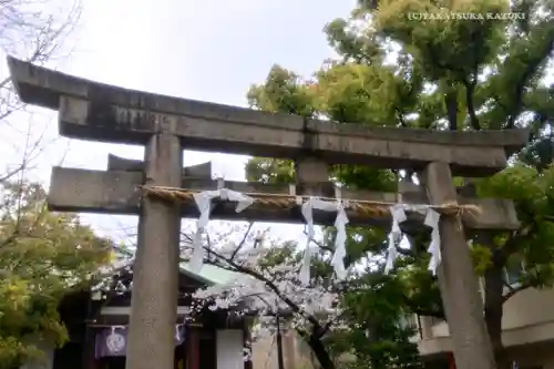 稲毛神社の鳥居