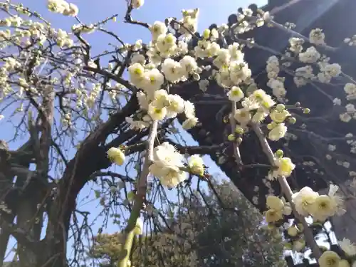 養泉寺(三重県)