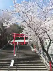 徳島眉山天神社の鳥居