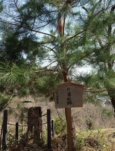 小町神社の自然