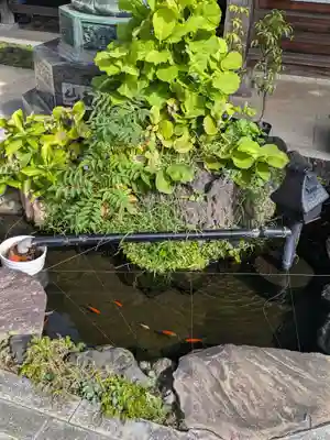 了俒寺(東京都)