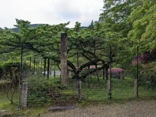 長徳寺(三重県)