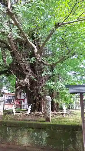 野木神社のその他建物