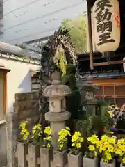 法善寺(大阪府)