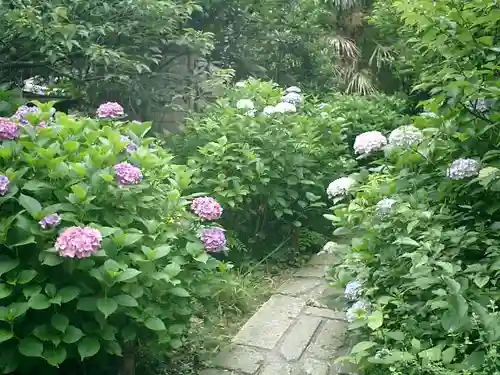 瑞泉寺の庭園