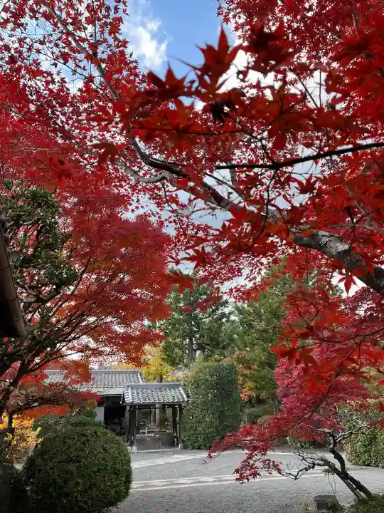 神光院(京都府)