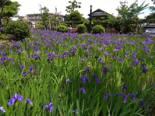 無量寿寺の{uncategorized: "未分類", other: "その他", undefined: "問題あり", building: "その他建物", grave: "お墓", sacred_gate: "鳥居", guardian: "狛犬", statue: "像", buddha: "仏像", history: "歴史", nature: "自然", garden: "庭園", animal: "動物", pagoda: "塔", temizu: "手水舎", mountain_gate: "山門・神門", sanctuary: "本殿・本堂", subordinate: "末社・摂社", art: "芸術", scenery: "景色", jizo: "地蔵", ema: "絵馬", goshuin: "御朱印", omikuji: "おみくじ", items: "授与品その他", amulet: "お守り", goshuincho: "御朱印帳", eats: "食事", festival: "お祭り", votive_dance: "神楽", shichigosan: "七五三参", wedding: "結婚式", experience: "体験その他", initially: "初詣", around: "周辺", anti_infection: "感染症対策"}