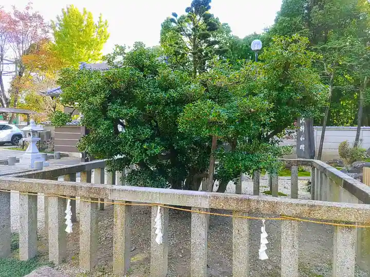 太閤山常泉寺の庭園