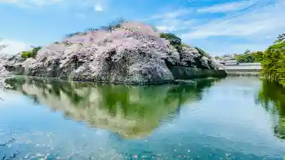 滋賀県護国神社の{uncategorized: "未分類", other: "その他", undefined: "問題あり", building: "その他建物", grave: "お墓", sacred_gate: "鳥居", guardian: "狛犬", statue: "像", buddha: "仏像", history: "歴史", nature: "自然", garden: "庭園", animal: "動物", pagoda: "塔", temizu: "手水舎", mountain_gate: "山門・神門", sanctuary: "本殿・本堂", subordinate: "末社・摂社", art: "芸術", scenery: "景色", jizo: "地蔵", ema: "絵馬", goshuin: "御朱印", omikuji: "おみくじ", items: "授与品その他", amulet: "お守り", goshuincho: "御朱印帳", eats: "食事", festival: "お祭り", votive_dance: "神楽", shichigosan: "七五三参", wedding: "結婚式", experience: "体験その他", initially: "初詣", around: "周辺", anti_infection: "感染症対策"}