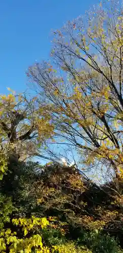 日枝神社の自然