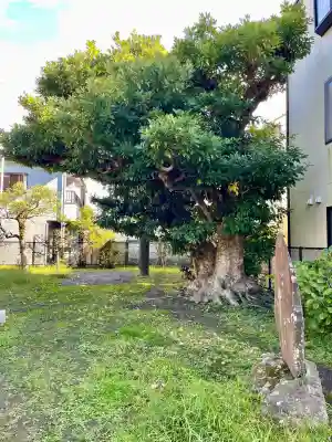 巽神社(神奈川県)