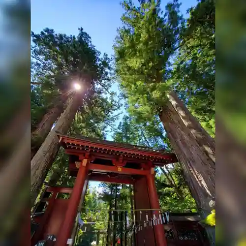 日光二荒山神社の鳥居