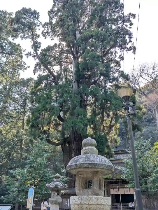 若狭姫神社(若狭彦神社下社)の{uncategorized: "未分類", other: "その他", undefined: "問題あり", building: "その他建物", grave: "お墓", sacred_gate: "鳥居", guardian: "狛犬", statue: "像", buddha: "仏像", history: "歴史", nature: "自然", garden: "庭園", animal: "動物", pagoda: "塔", temizu: "手水舎", mountain_gate: "山門・神門", sanctuary: "本殿・本堂", subordinate: "末社・摂社", art: "芸術", scenery: "景色", jizo: "地蔵", ema: "絵馬", goshuin: "御朱印", omikuji: "おみくじ", items: "授与品その他", amulet: "お守り", goshuincho: "御朱印帳", eats: "食事", festival: "お祭り", votive_dance: "神楽", shichigosan: "七五三参", wedding: "結婚式", experience: "体験その他", initially: "初詣", around: "周辺", anti_infection: "感染症対策"}