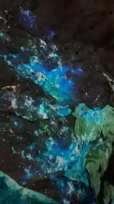 龍王神社の自然