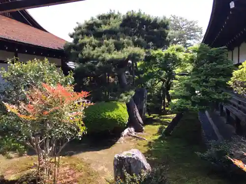 大覚寺(京都府)