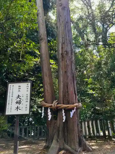 常陸第三宮　吉田神社(茨城県)