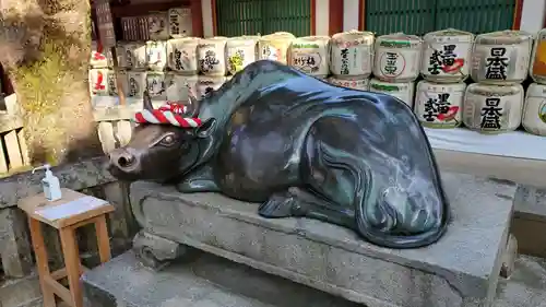 太宰府天満宮の狛犬