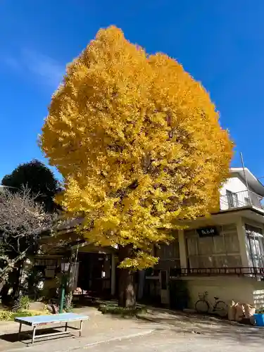 千住本氷川神社(東京都)