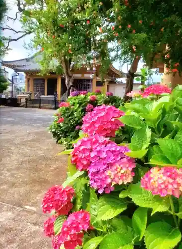 福王山  慈眼寺の自然