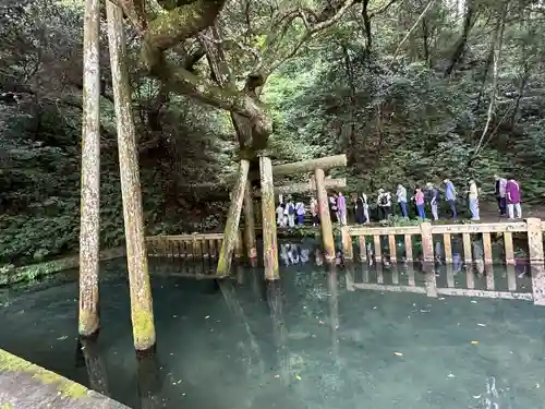鹿島神宮(茨城県)