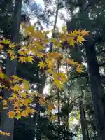 石道寺(滋賀県)