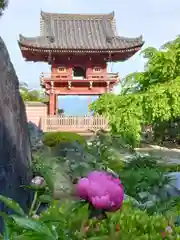 當麻寺 奥院の手水