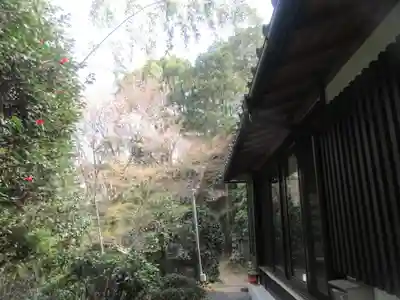 光照寺(京都府)