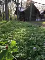 浦臼神社の自然