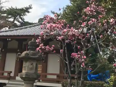 金剛院（仏性寺）の本殿・本堂