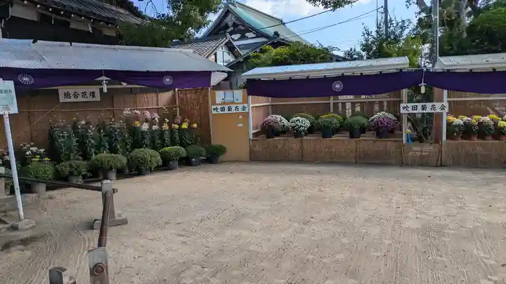 泉殿宮(大阪府)