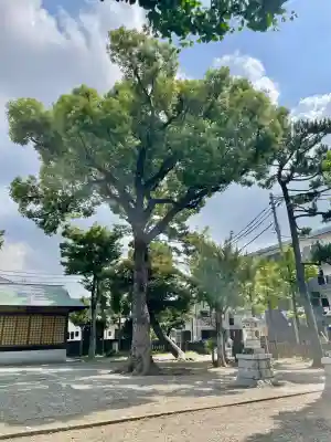 神明神社(神奈川県)