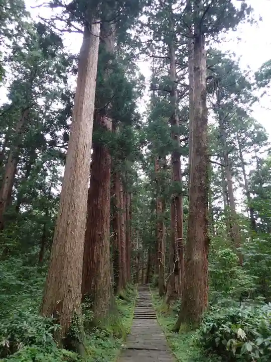 出羽神社(出羽三山神社)~三神合祭殿~の自然