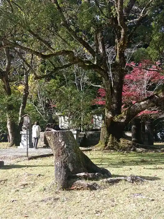 熊野本宮大社(和歌山県)