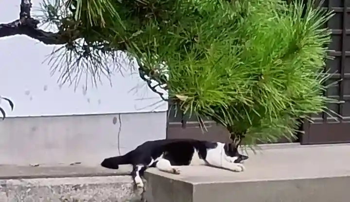 刺田比古神社(和歌山県)