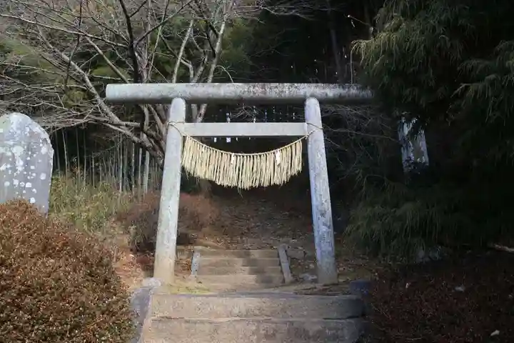 白山比咩神社の鳥居