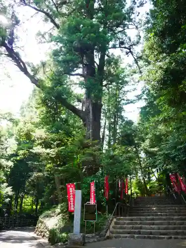 塩船観音寺のその他建物