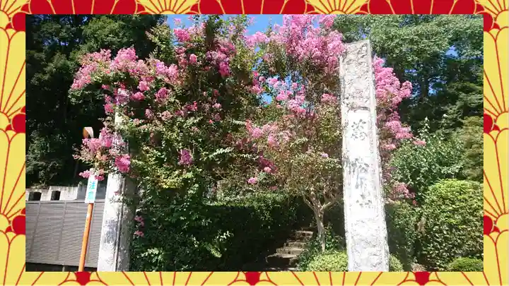 崇禅寺(群馬県)